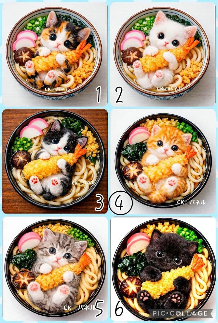【3月】うきたん(*´꒳`*)❤︎
