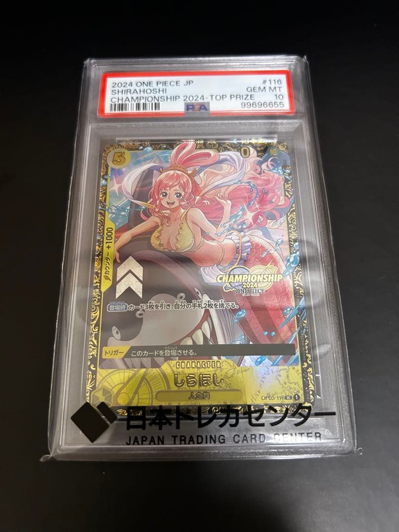 【PSA10】しらほし　チャンピオンシップ2024