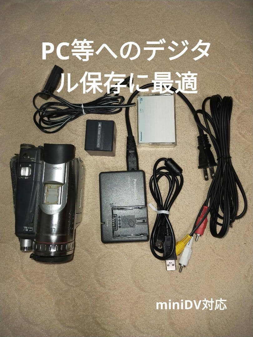 Panasonic NV-GS200 ビデオカメ本体miniDV対応