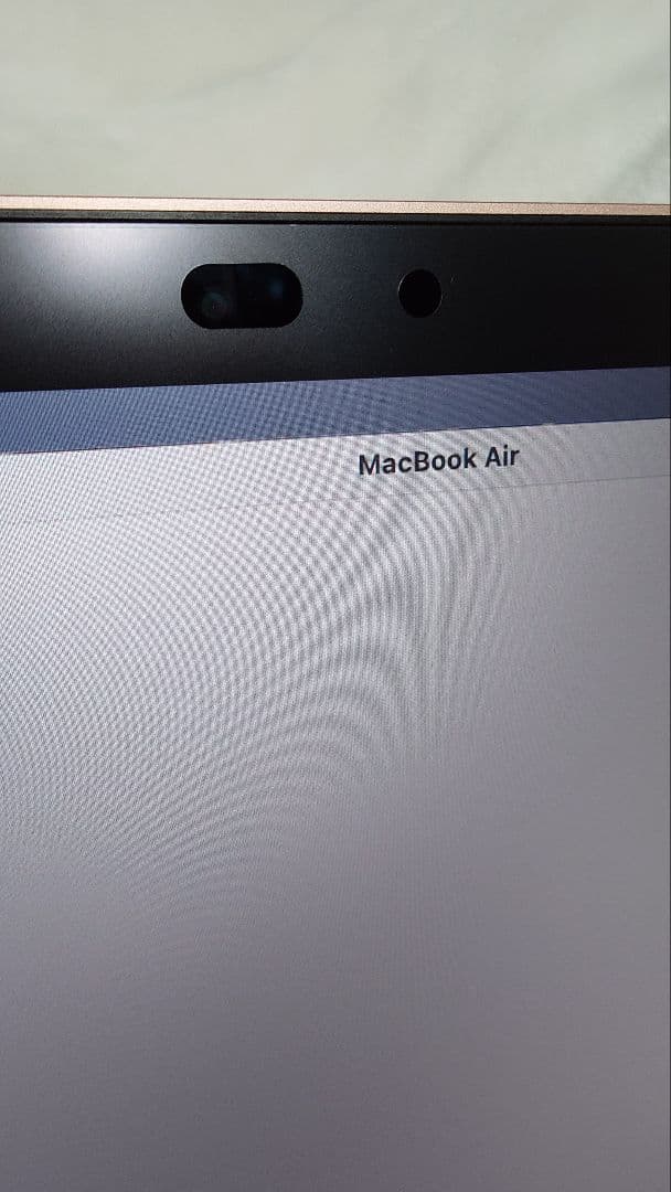 MacBook Air (M1, 2020)充電94%21回ローズゴールド