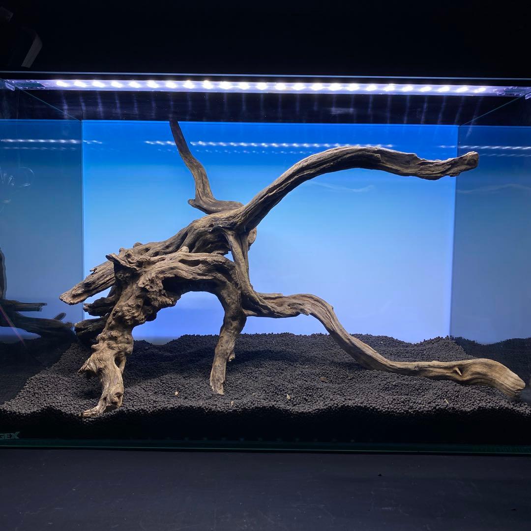 MSRW-6510 スリムウッド2本セット　60cm水槽用流木　アクアリウム
