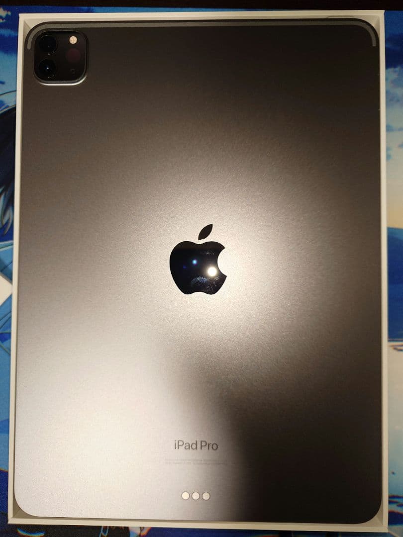 11インチ iPad Pro Wi-Fi 256GB スペースグレイ　第4世代