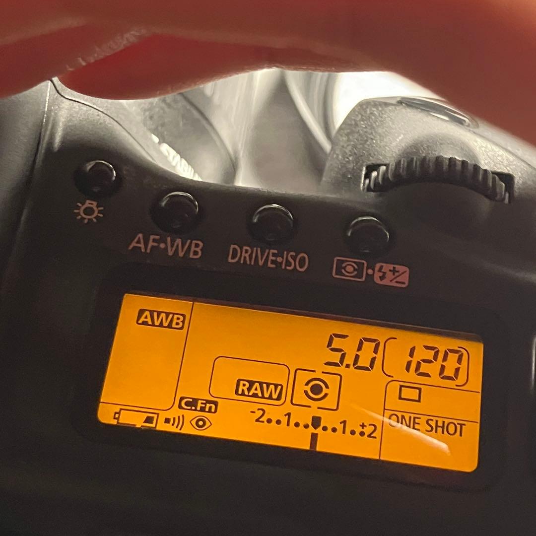 実用品 EOS 20D デジタルカメラ + 18-55 STMレンズ