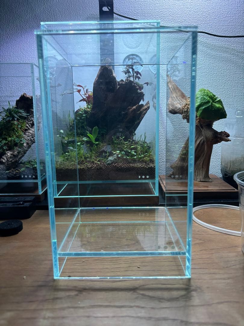 DOOA ネオグラスエア15×20