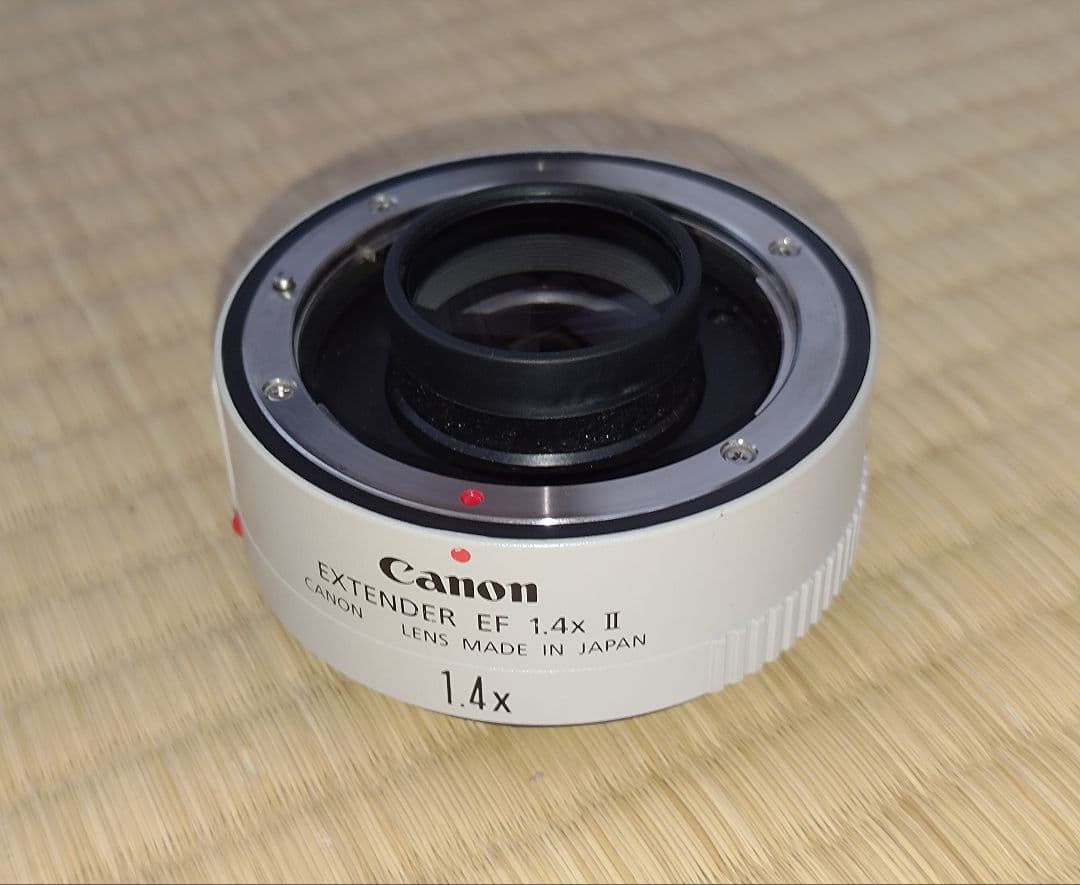 EF 500mm F4 L IS USM 動作品 ケース付き
