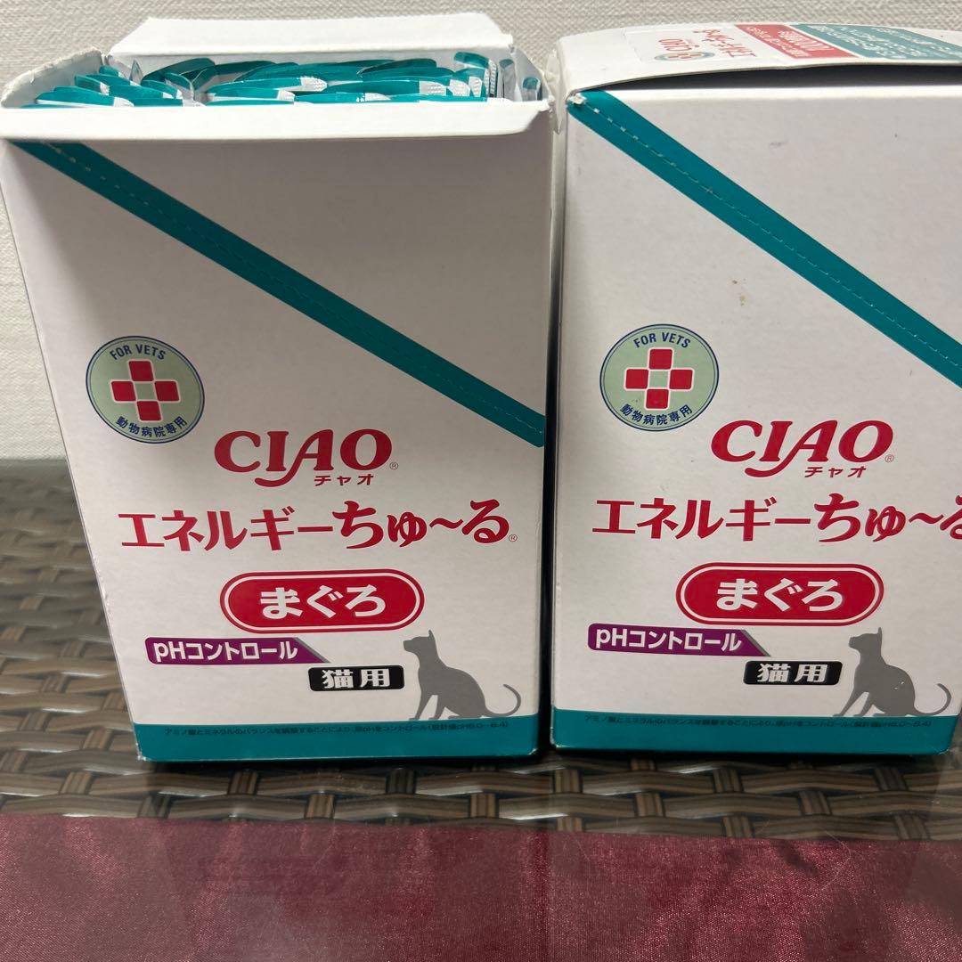 チャオエネルギーチュールまぐろ