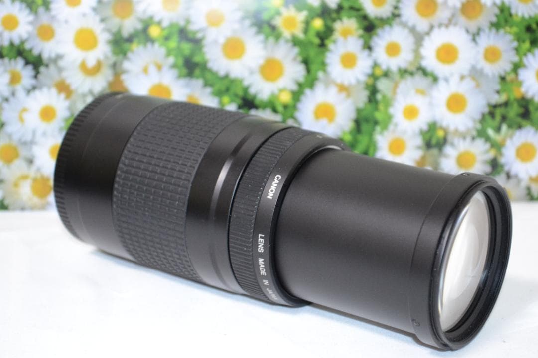 大迫力300㎜❤望遠レンズ❤人気❤スポーツ❤Canon EF75-300㎜