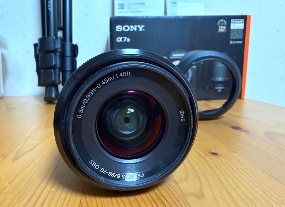 SONY α7Ⅲ + Sony Lens 28-70mm F3,5-5,6
