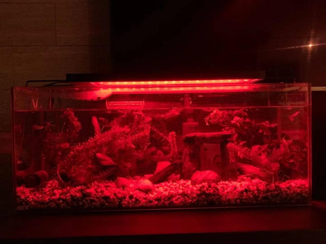 か*い様 LED 水槽 アクアリウムライト 120cm～135cm タイマー付き
