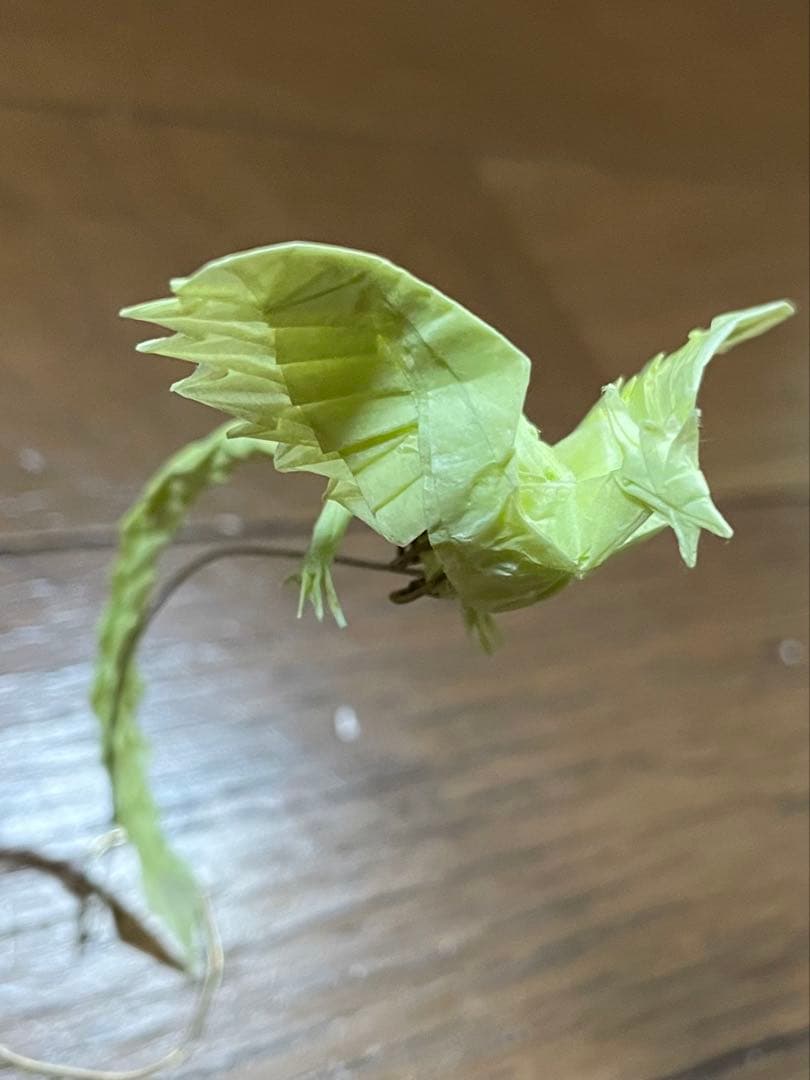 神谷 フェニックス 小サイズ