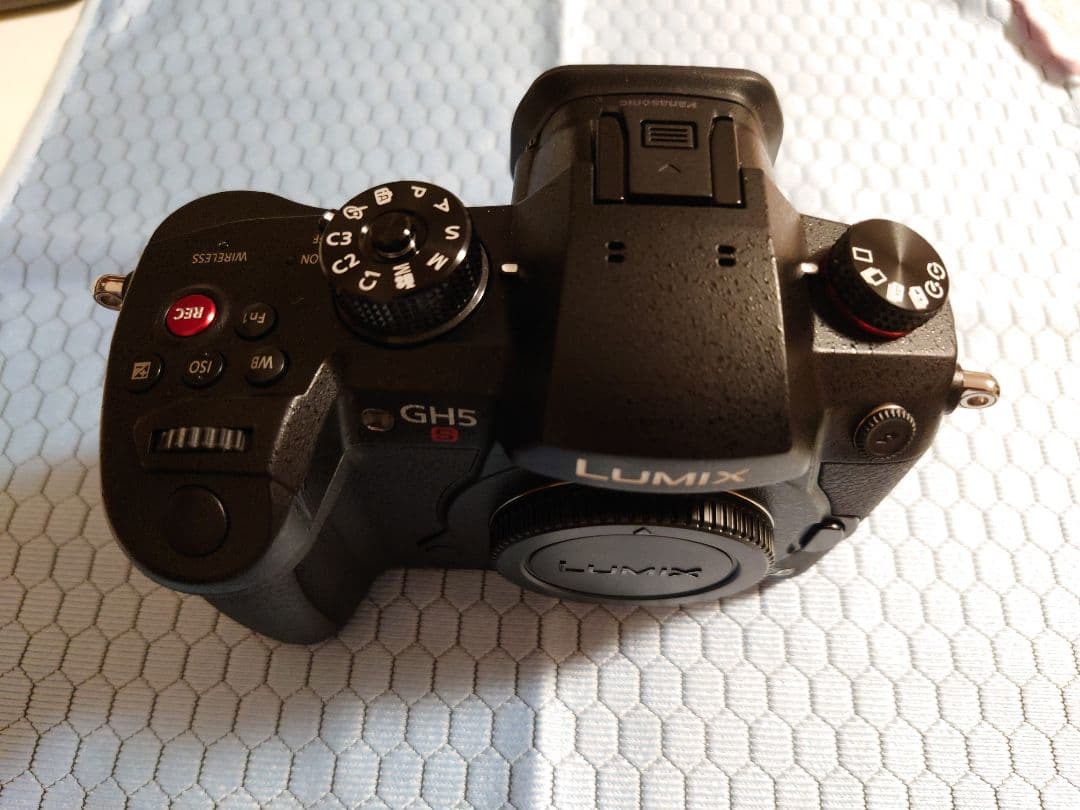 Lumix GH5S + SmallRig ケージ 室内のみ シャッター101回