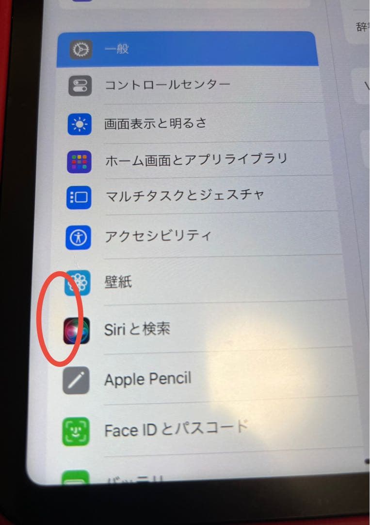 iPad Pro 12.9インチ 256GB 第6世代　アップルペンシル付き
