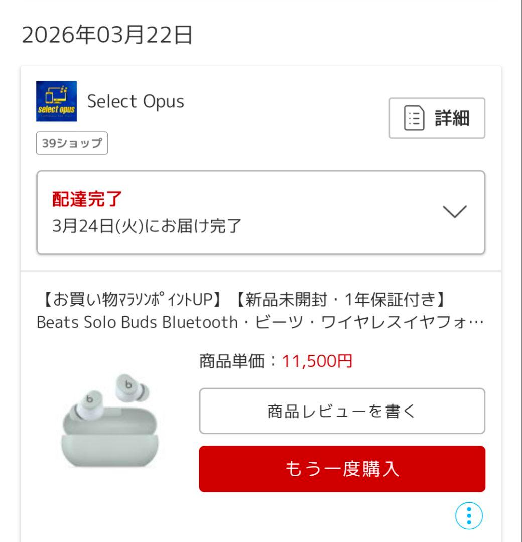 【試着のみ】Beats Solo Buds ストームグレー