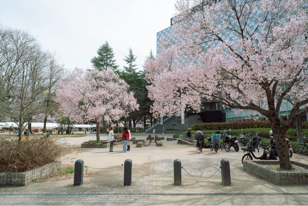 【作例あり】SIGMA Art 20mm F1.4 DG DN Lマウント