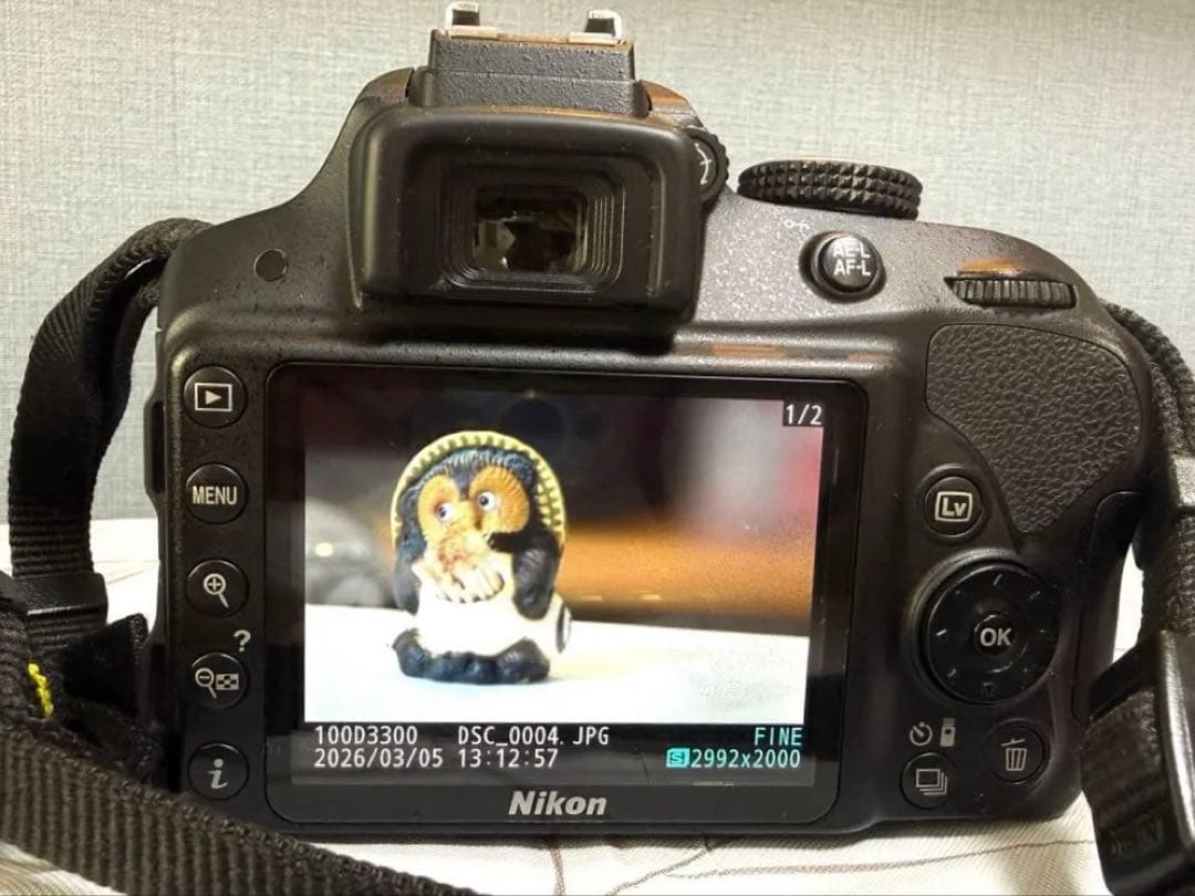 Nikon D3300+AF-S DX NIKKOR 18-55mm 美品