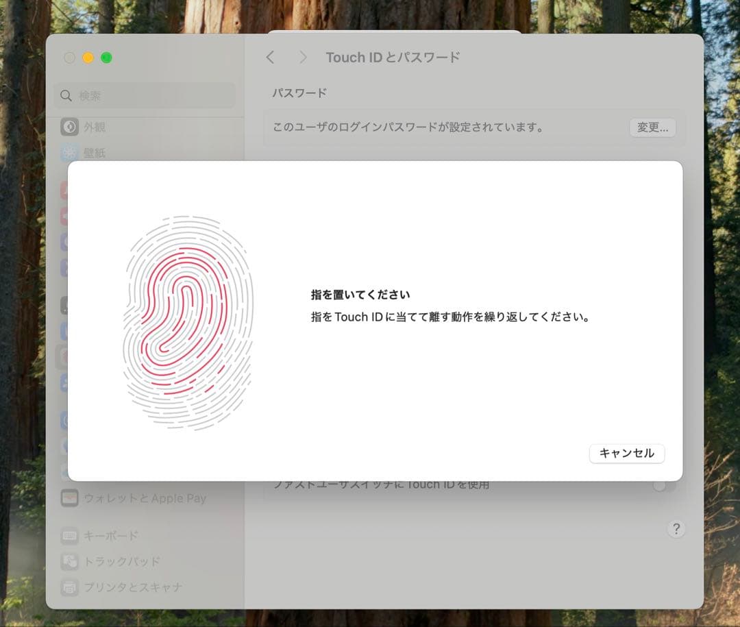 P*a様 Apple MacBook Pro 15 2019 i7/32GB/5