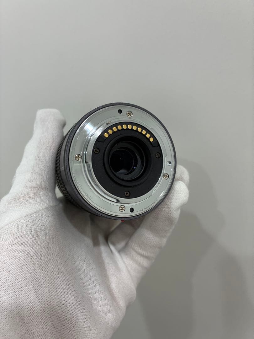 Panasonic DMC−GF1 & LUMIX 14-45mm