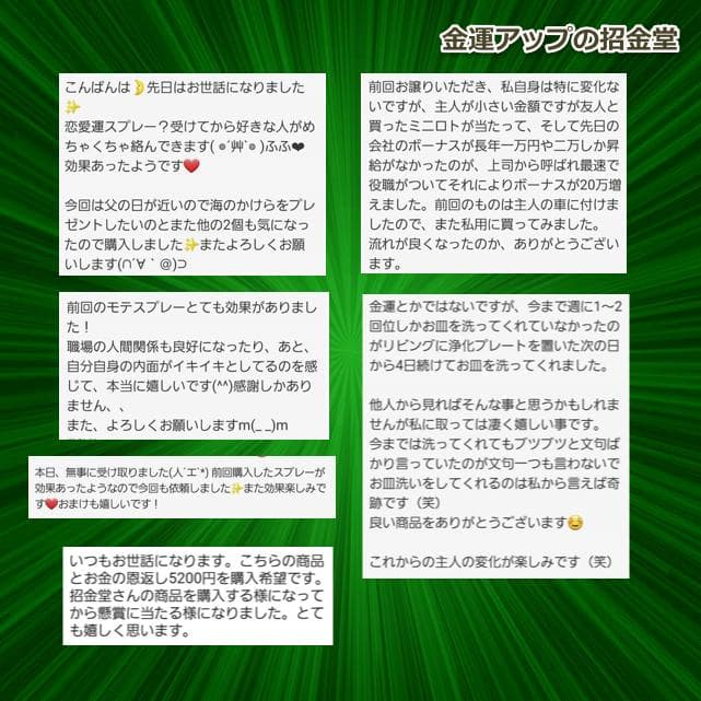 最強 金運アップブレスレット『金運万倍波動玉ブレスレット』パワーストーンNo10