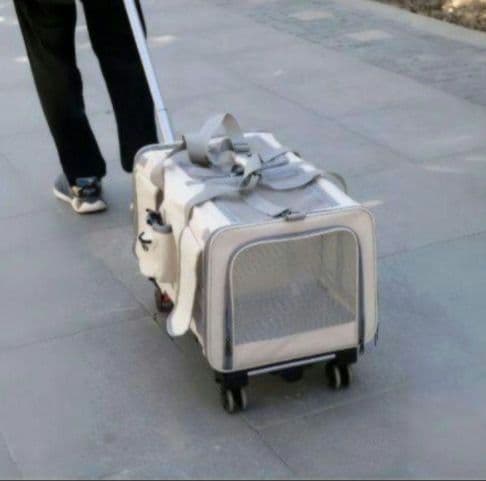 【新品未使用品】犬猫 キャリー ペットコンテナ　折りたたみコンパクトご機嫌移動