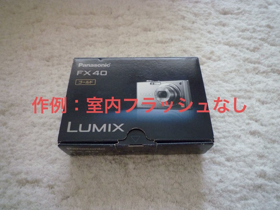 極上品【動作品】Panasonic パナソニック LUMIX DMC-FX40