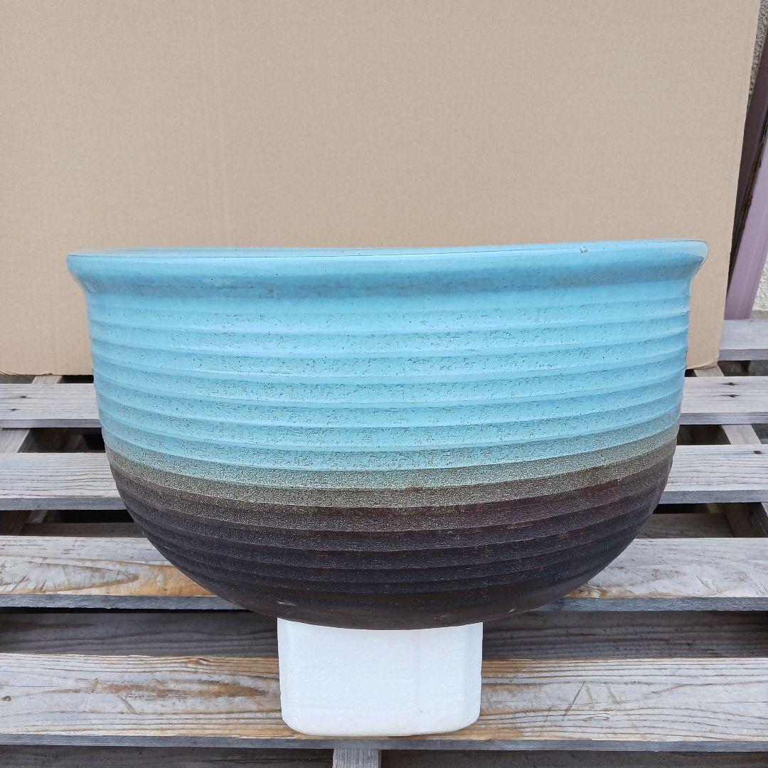 新品　特大51　陶器　睡蓮鉢　メダカ鉢　難有　ラリマーブルー　スカイブルーLWC