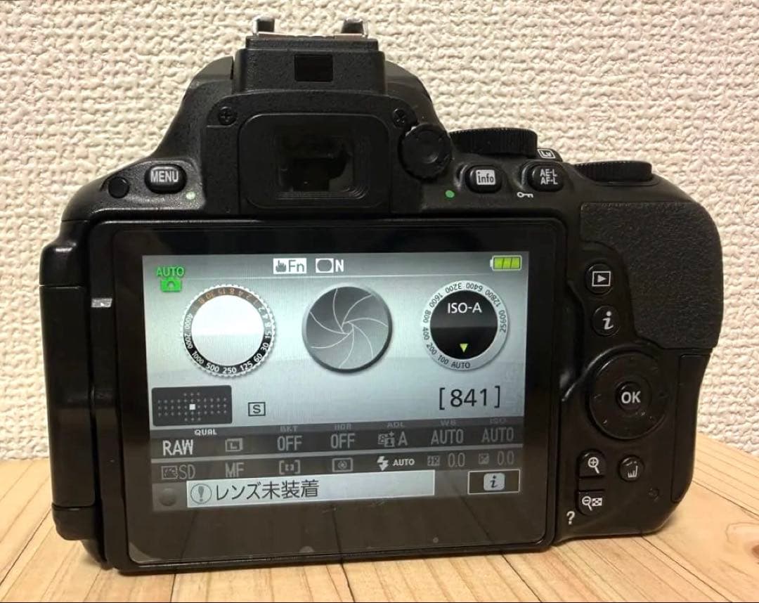 【美品】ニコンD5500本体✴︎タッチ操作✴︎Wi-Fi転送✴︎初心者向✴︎完全動作品✴︎