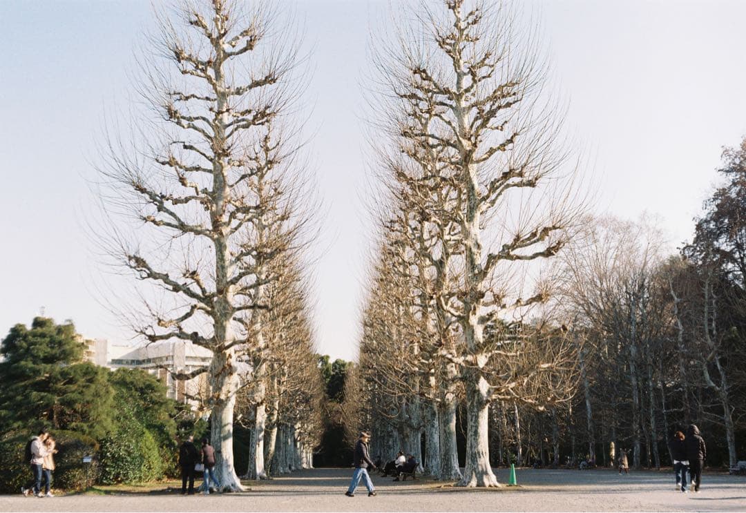 【希少/実用品】Exata IIb + Zeiss Tessar 50 2.8