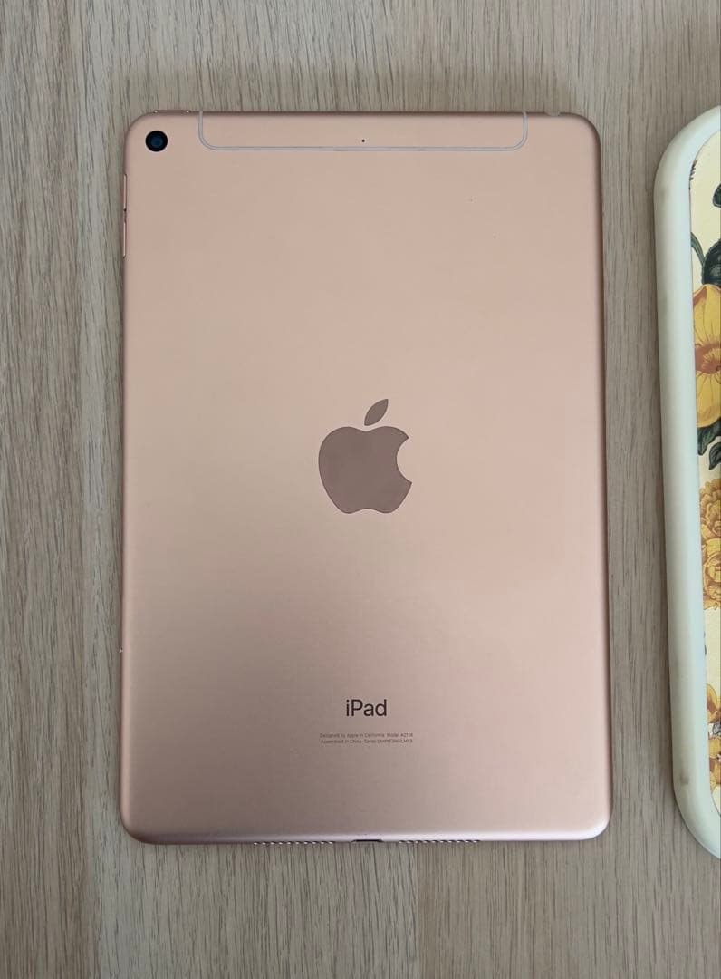 【美完動品 S.R解除済】Apple iPad mini第5世代W+Cフルセット