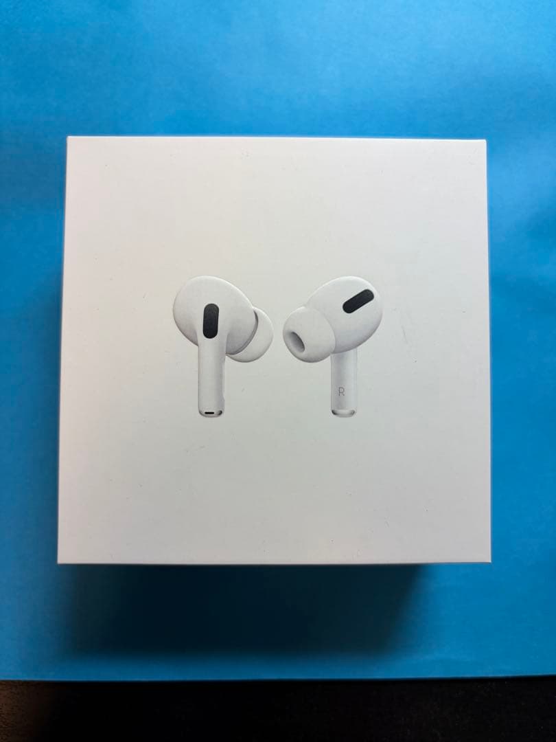 Apple AirPods Pro 第1世代 【動作確認済・予備チップ付】
