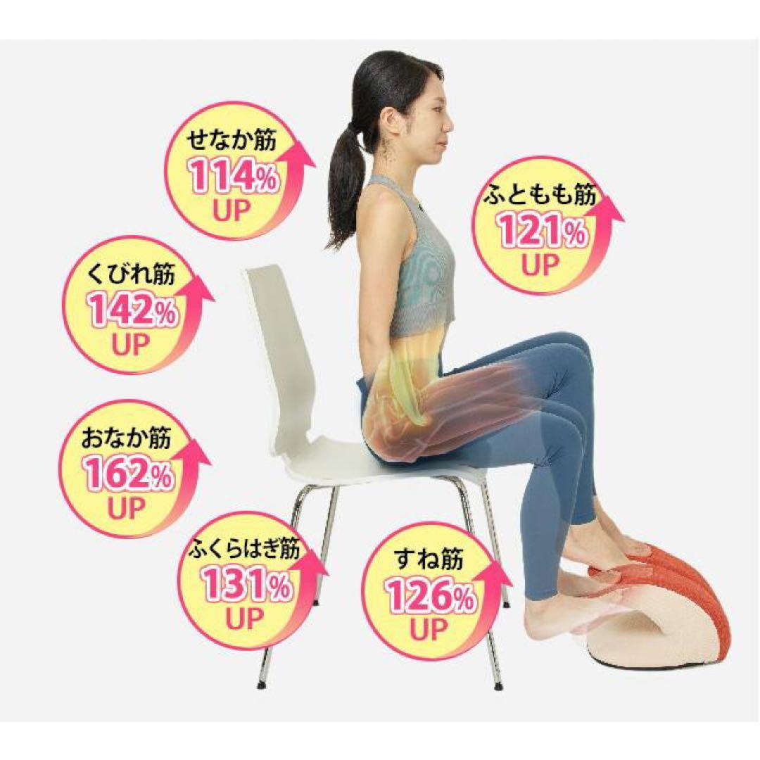 【未使用】フィットネスクラブがつくった バウンドクッション Twin (ツイン)