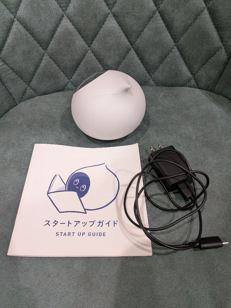 掃除機・クリーナー Romi P02