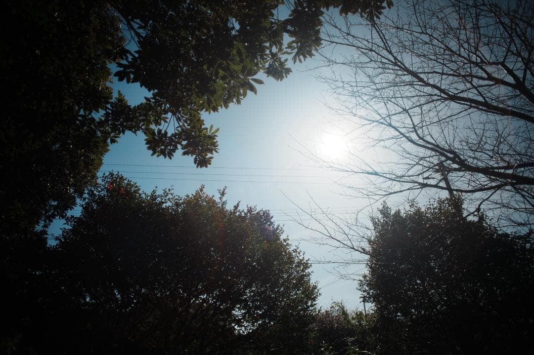【整備＆テスト済】Canon New FD 20mm F2.8 キャノン 051