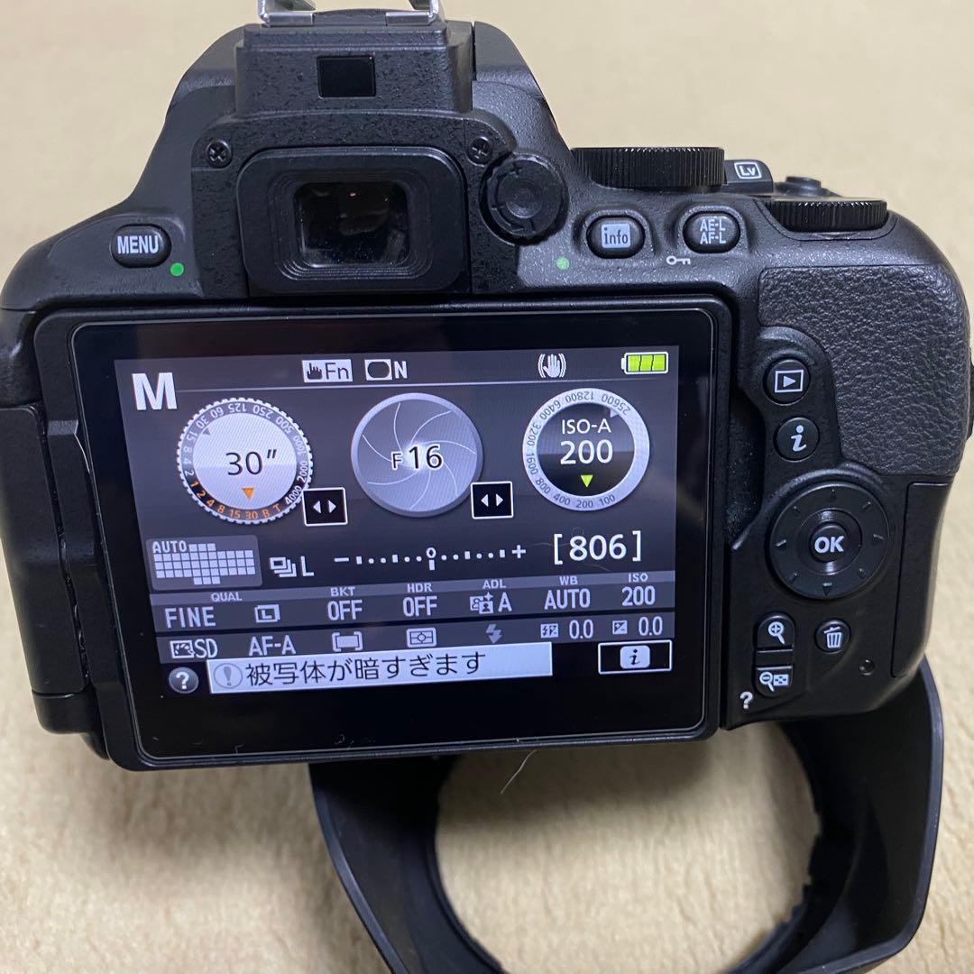 美品 Nikon D5600 AF-S 16-80mm f2.8-4 VR