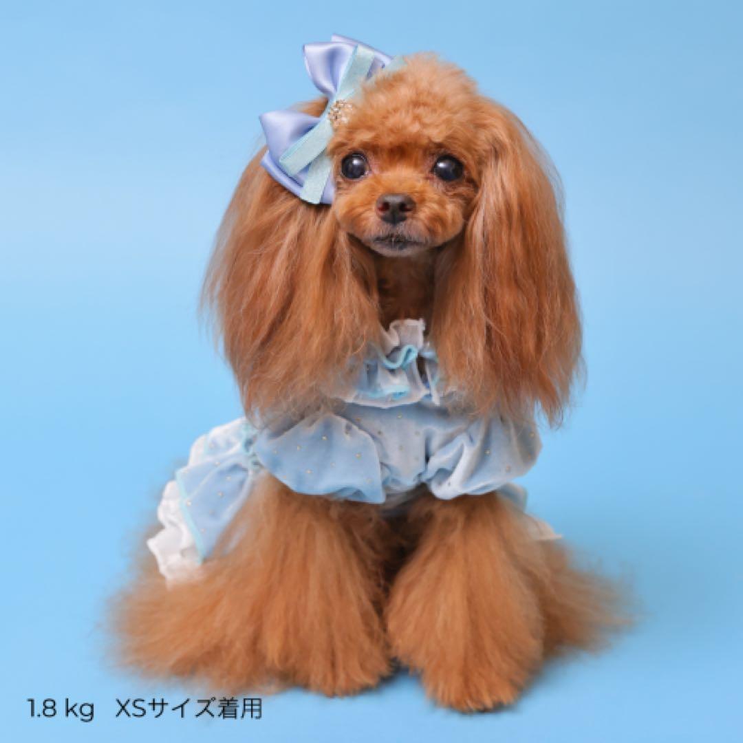 新品 GODPIVA ドットプリマワンピース ブルー Sサイズ