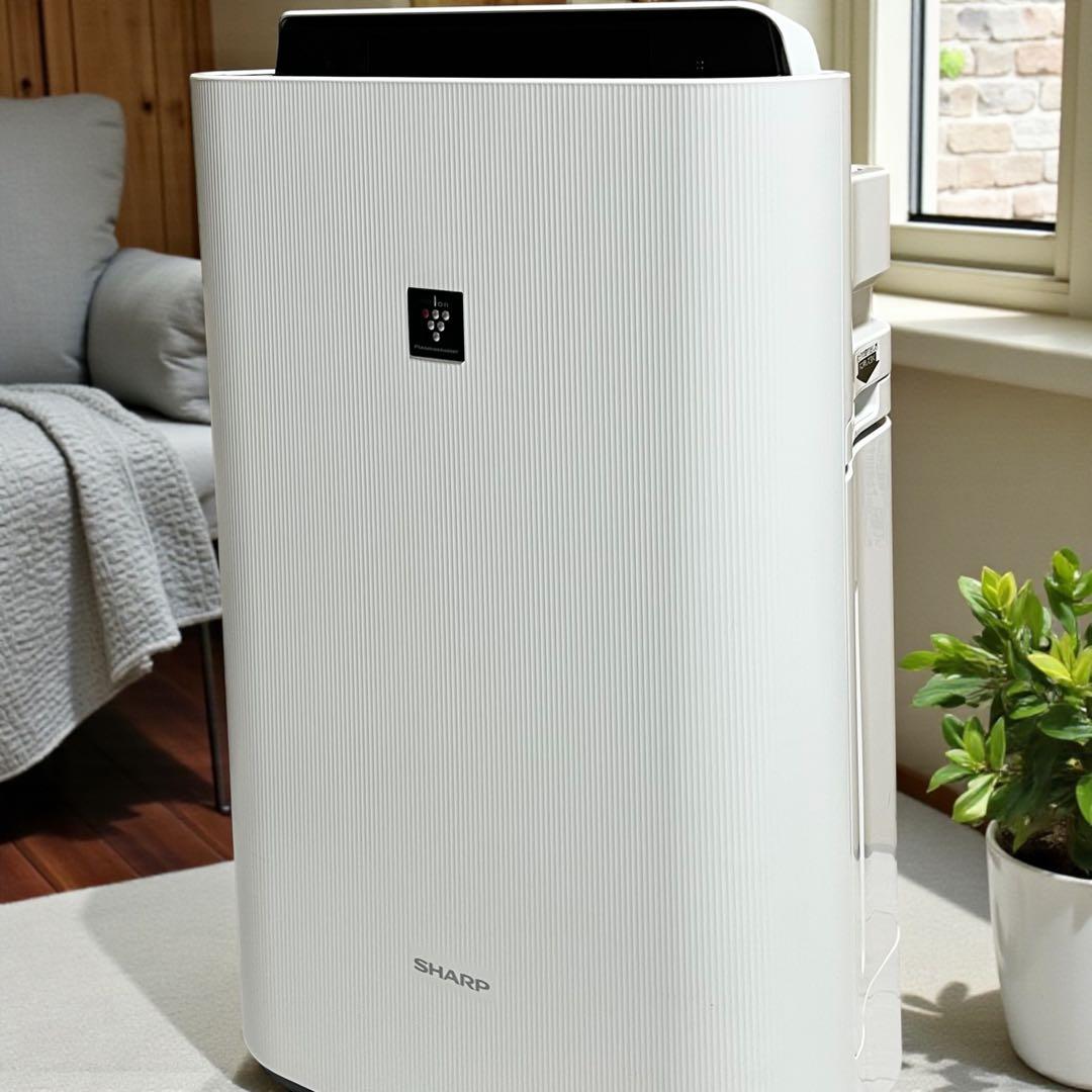 SHARP（シャープ） 加湿空気清浄機 KC-S50-W 2024年製