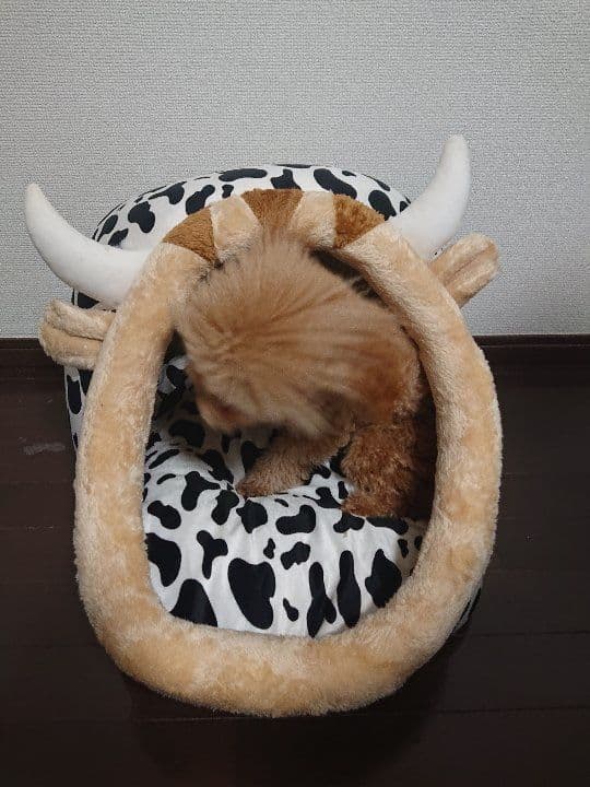 ペット用品 超可愛い ドーム型 小型犬 猫ハウス