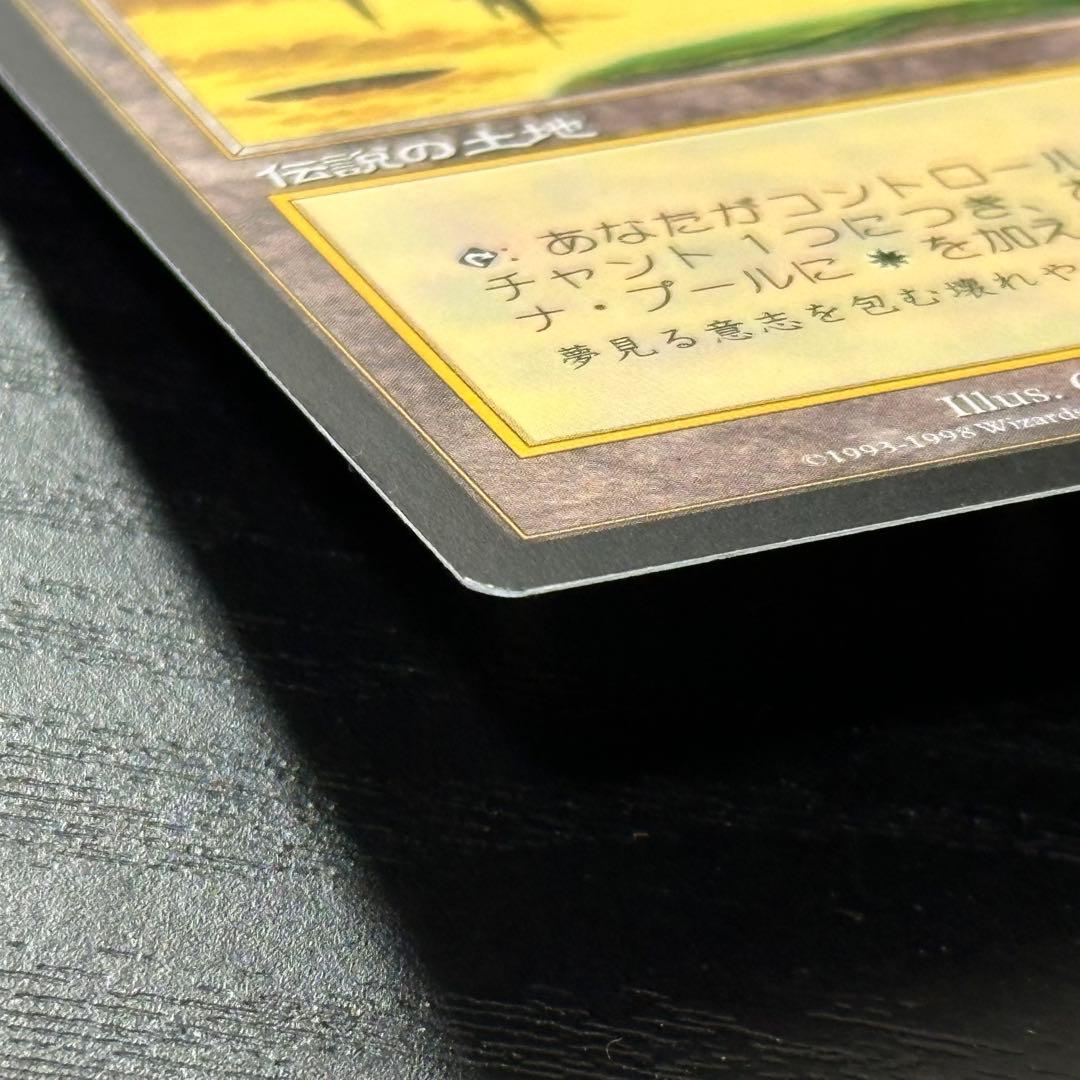 MTG セラの聖域 日本語