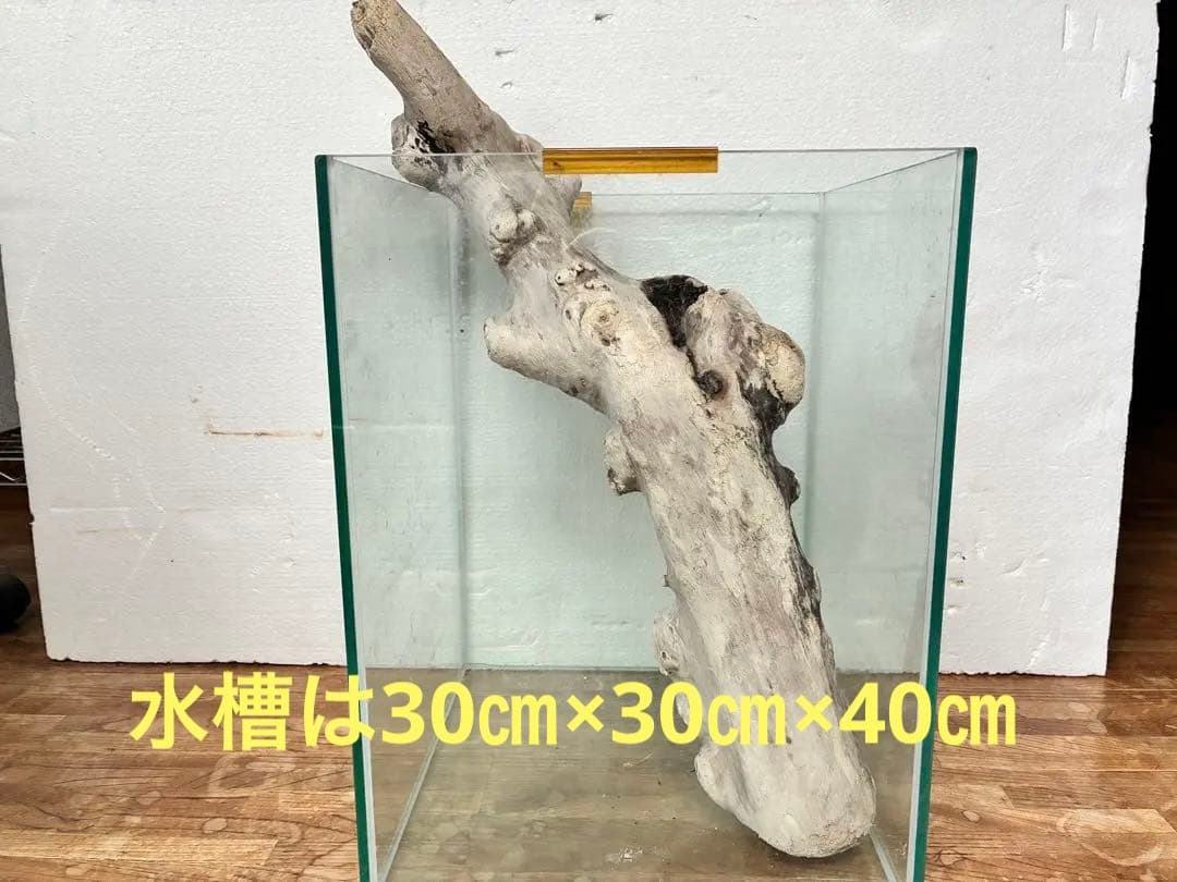 大型　☆アクアリウム　生花　テラリウム 爬虫類　天然流木 ホーンウッド　⭐︎
