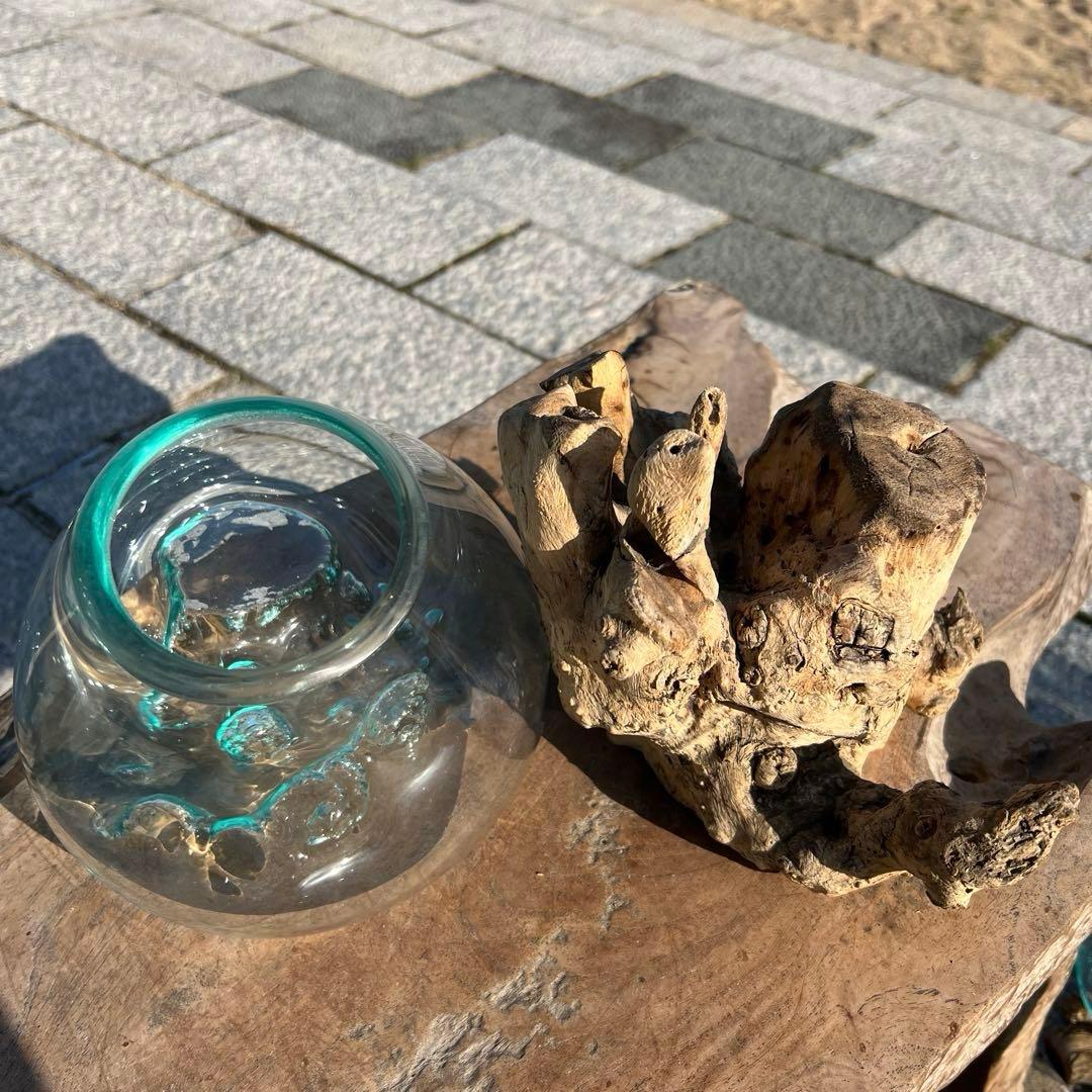 流木ガラスオブジェ大J 花瓶 金魚鉢 ガーデニング フラワーポット 水槽 アート